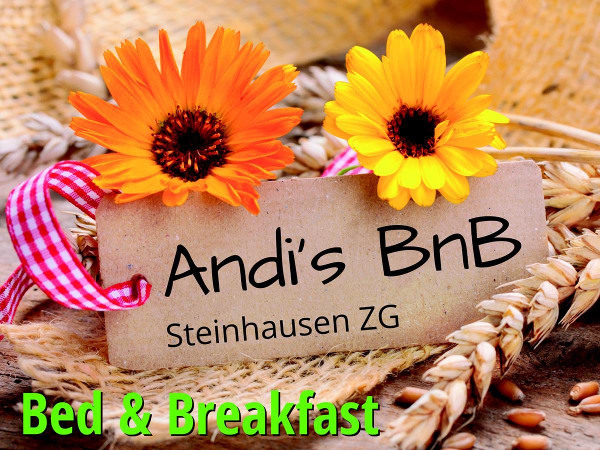 Bed and Breakfast Andi'S Bnb Steinhausen Exterior foto